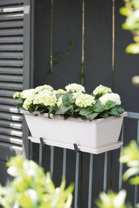 barcelona balkonbak schotel 70cm wit